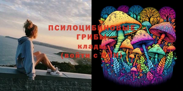 мет Баксан