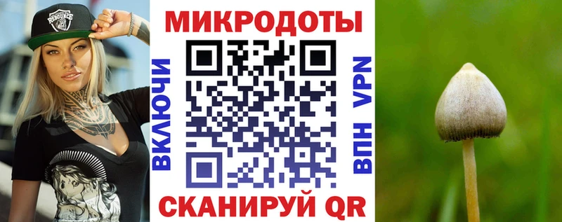 купить закладку  Светлоград  Галлюциногенные грибы Psilocybe 